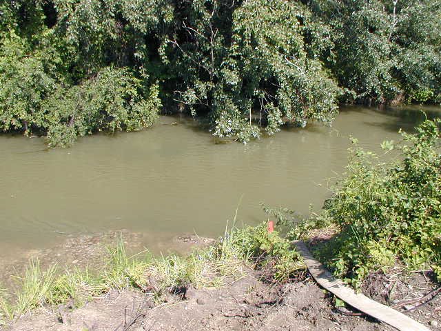 Malzenice